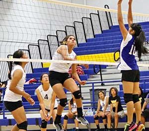 Whitehorse volleyball team relying on seniors