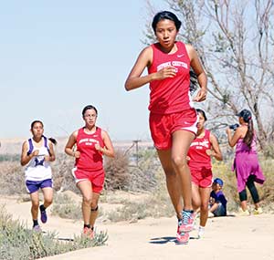 Page turns in strong performance at Davis Invite