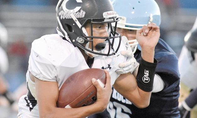 Cats romp past Window Rock