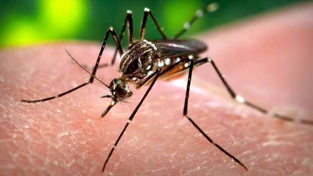 Hale: Nation needs education on Zika