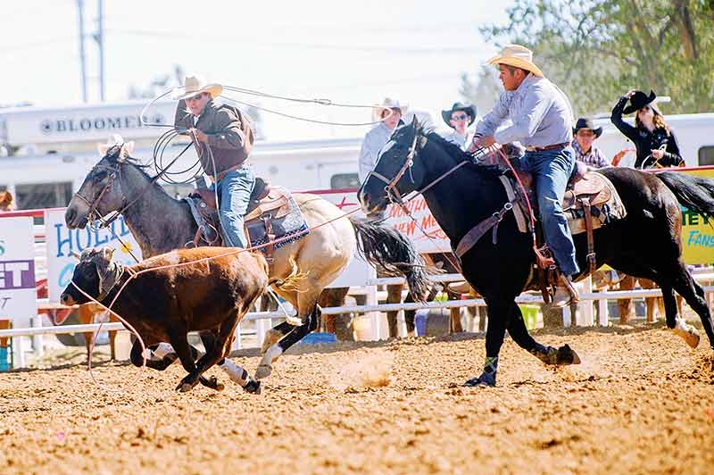 Crownpoint cowboy passes litmus test, wins average title
