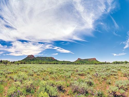 ‘Monumental!’  Obama preserves Bears Ears