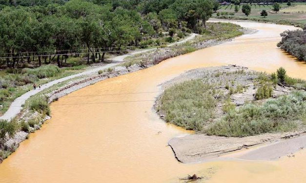 Judge dismisses farmers’ case against mining company they allege helped cause Gold King spill