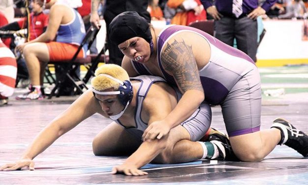 Area teams have multi state placers
