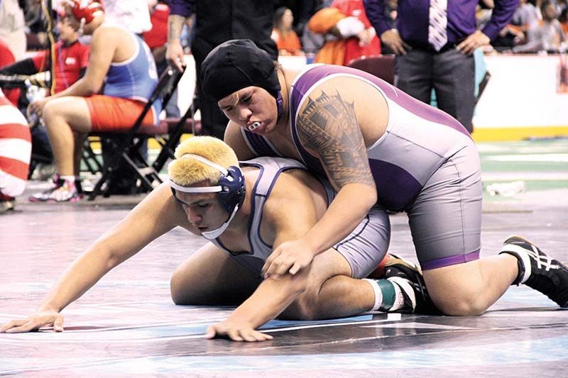 Area teams have multi state placers