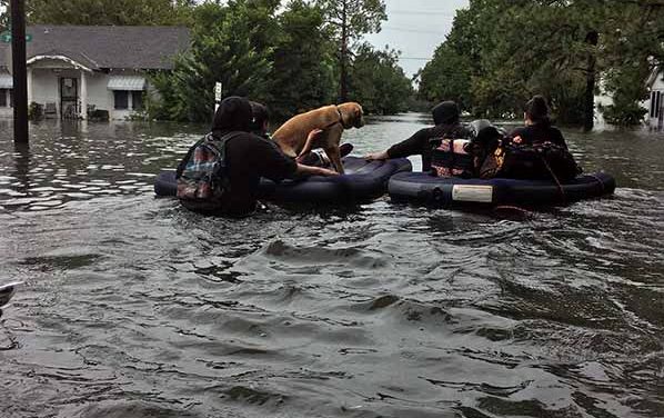 Navajo family evacuated from Texas home