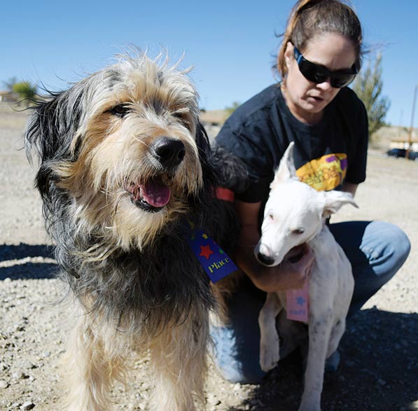 Every dog’s a king at Crownpoint dog show