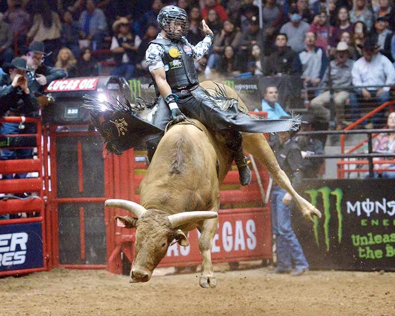 Whitehorse, on 1st PBR season, seeks his destiny