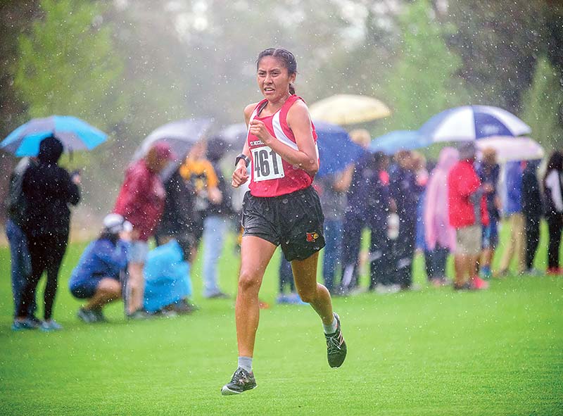 Weather no hurdle for St. Michael runner