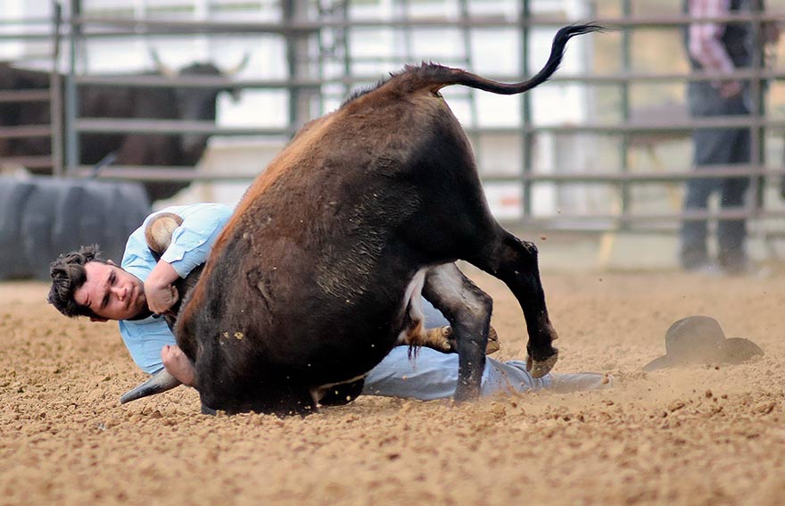 Bates wins average at Native Bulldoggers Jackpot
