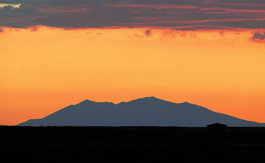 Protecting Ch’ilaghání :  Diné medicine group protests plan that may desecrate sacred plant