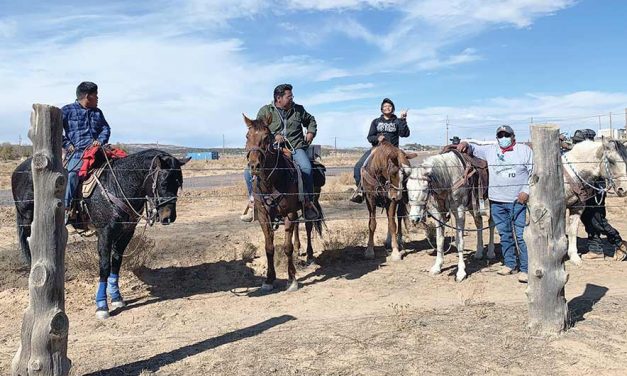 Dzil Yizhiin stays true blue, defying national rural trend