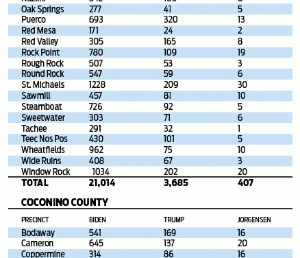 Latest results: Arizona Diné go for Biden by 82%