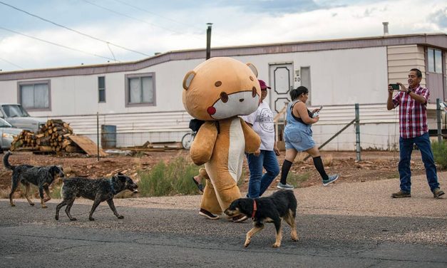 Bearsun’s effect: Why are Diné obsessed with man in bear suit?