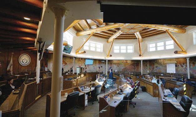 Council rejects $99,000 government reform funding request
