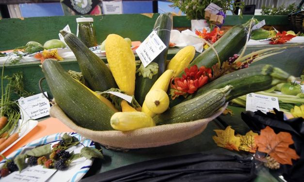 ‘A gesture of appreciation’:  DED sponsors new fair markets for Diné artists, small businesses, defarmers