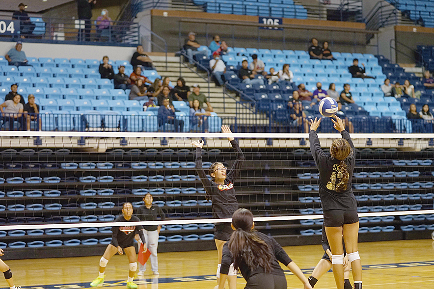 Lady Wildcats look to pick up where they left off last year