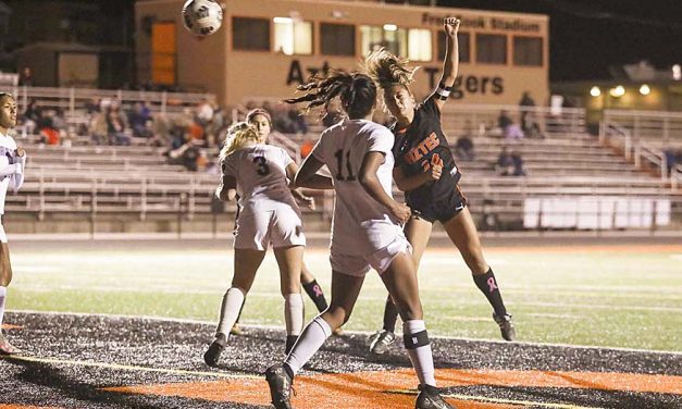 Lady Tigers gearing up for state playoffs