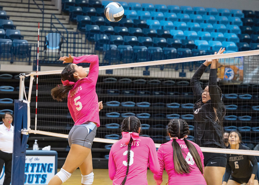 AIA, NMAA release state brackets