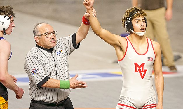 Area wrestlers end season with state titles