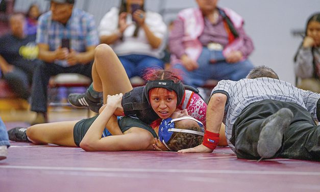 MV wrestler wins back-to-back section crowns