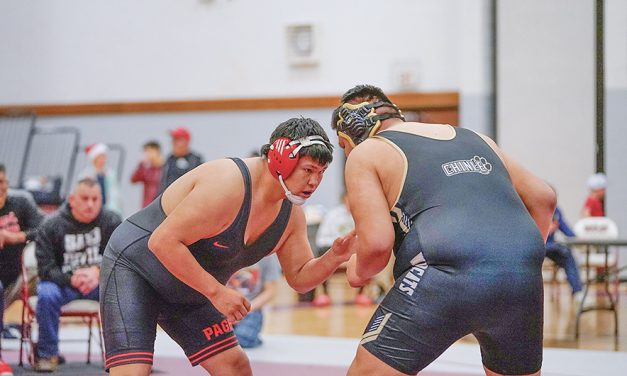 Sand Devils take third at sectional meet
