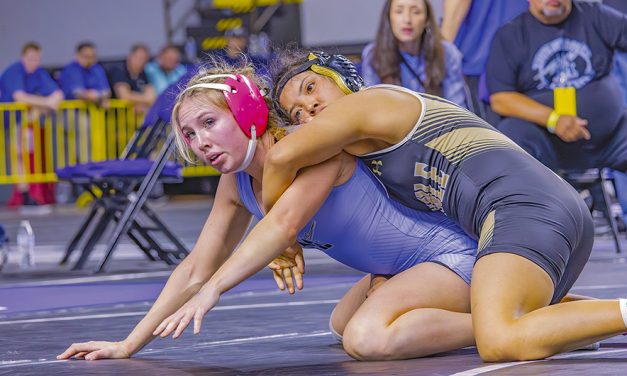 Area wrestlers cap season with state crowns