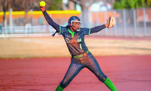 Farmington defeats Gallup Lady Bengals, 14-3