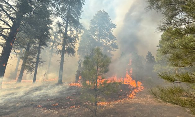 Correcting the record Oak Ridge Fire canceled events, not lives