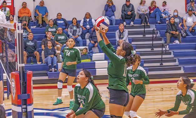 3A North volleyball sees coaching changes for 2025 season