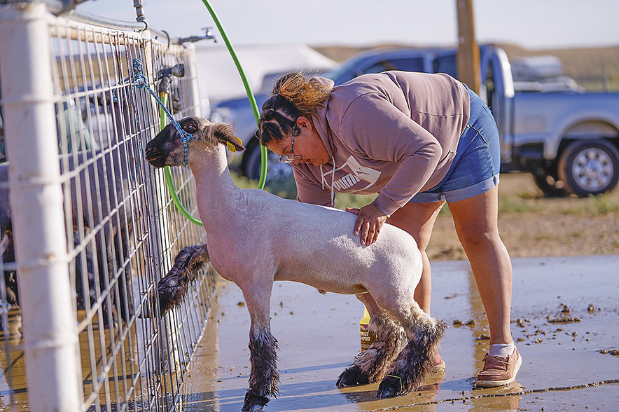 Dreamweavers 4-H continues to see success after 13 years