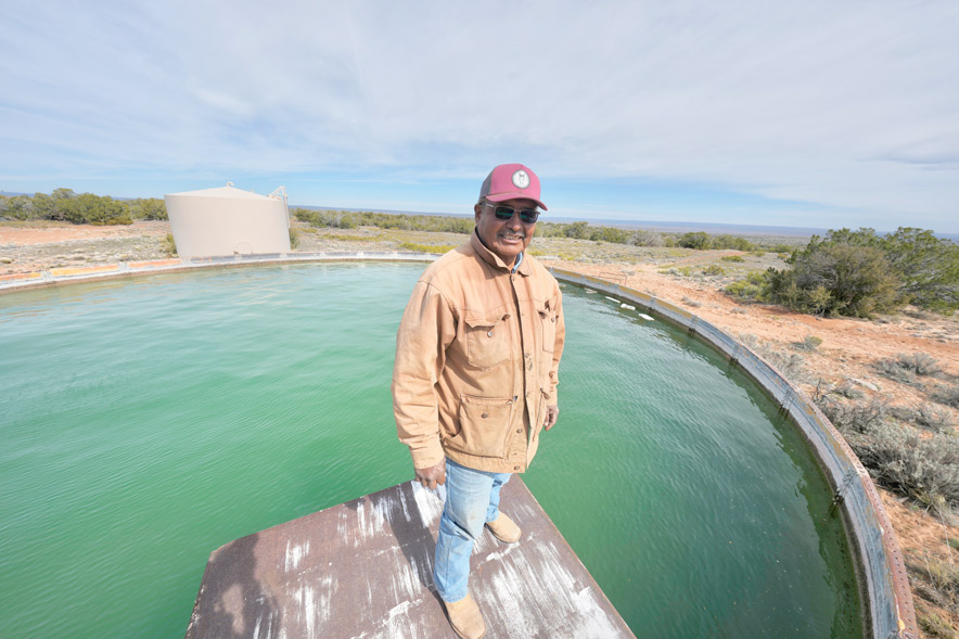 Federal transfer delays leave Padres Mesa cattle unsold, ranch hands unpaid