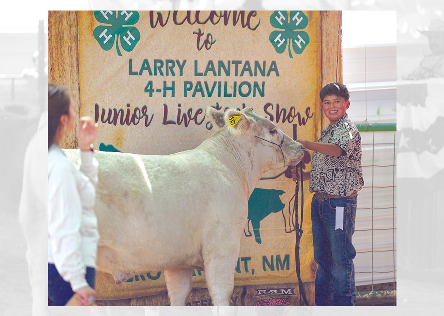 Shiprock 4-H member fares well at Eastern fair in beef division