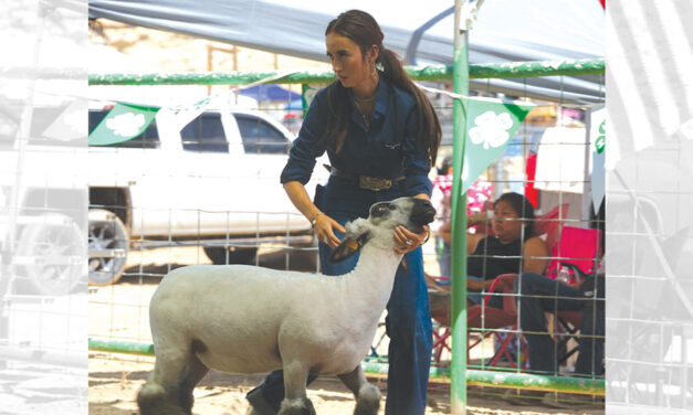Tyann Layton takes top showmanship honors at Eastern Navajo Fair