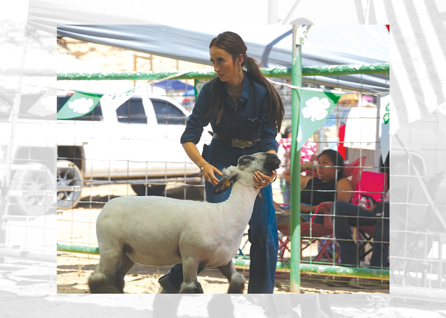 Tyann Layton takes top showmanship honors at Eastern Navajo Fair