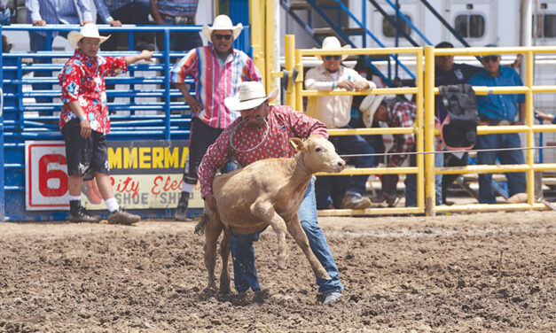 ‘Just be smooth’: Twin Lakes cowboy Roy Begay tops tie-down field