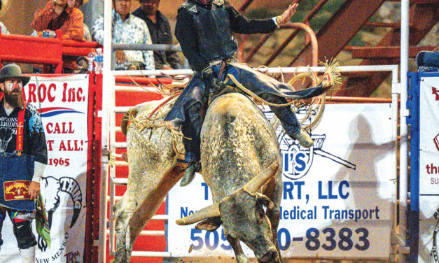 ‘Long time coming’<br> Texas bull rider captures third Wild Thing crown with 91-point effort